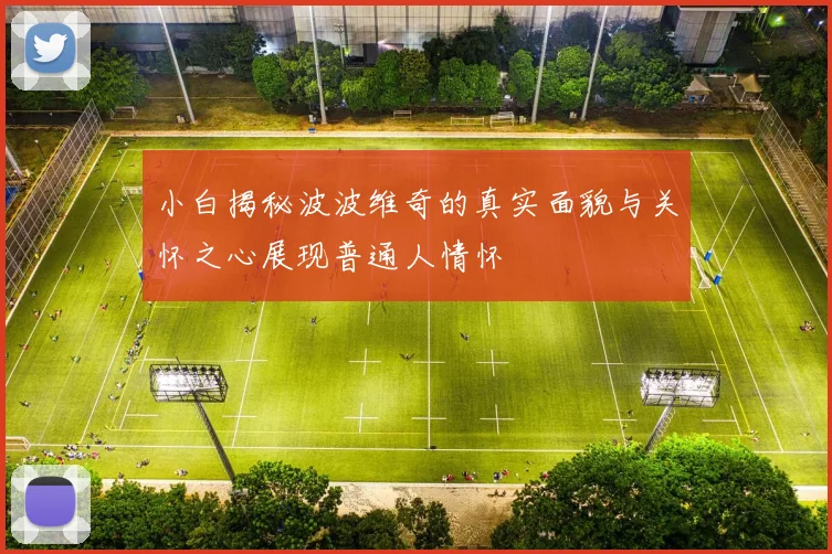 小白揭秘波波维奇的真实面貌与关怀之心展现普通人情怀